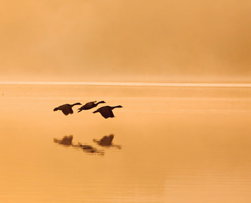 RC_20111105_7254