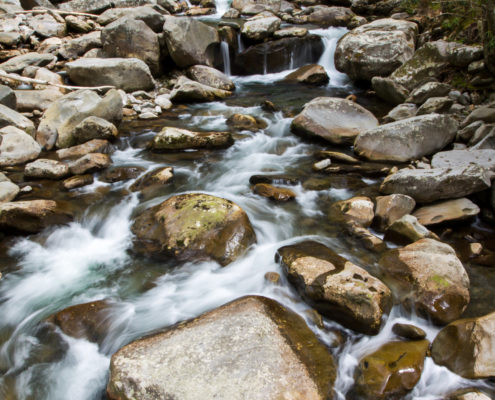 RC_20130426_7635